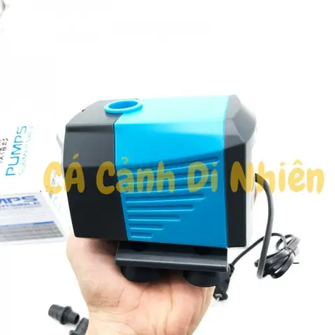 Máy Bơm Hồ Cá 20w: Hướng Dẫn Chọn Mua, Thông Số Kỹ Thuật & Lưu Ý Sử Dụng