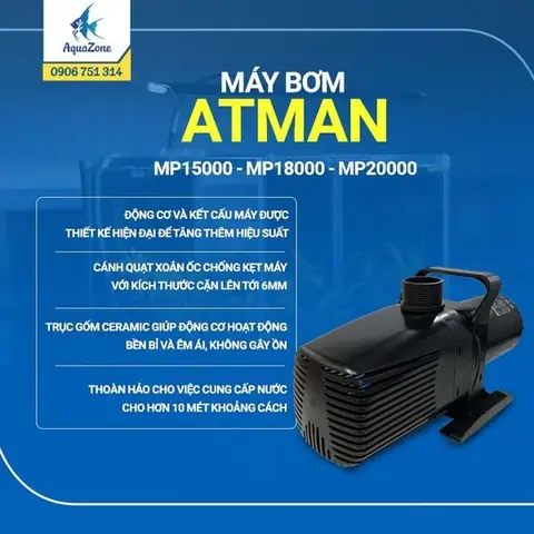 Top Máy Bơm Hồ Cá Siêu Êm: Lựa Chọn Nào Tốt Nhất Cho Bể Thủy Sinh & Cá Cảnh?