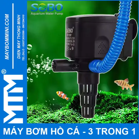 Máy Bơm Nổi Hồ Cá: Hướng Dẫn Chọn Mua, Sử Dụng & Lưu Ý Hiệu Quả