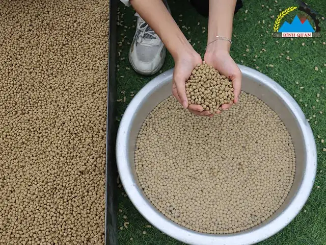 Máy Ép Cám Viên Mini Cho Cá: Hướng Dẫn Chọn Mua & Sử Dụng Hiệu Quả