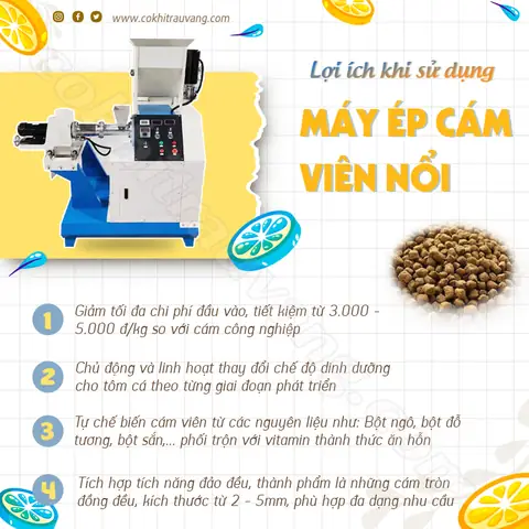 Máy Ép Cám Viên Tròn Cho Cá: Hướng Dẫn Chọn Mua & Sử Dụng Hiệu Quả