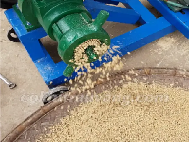 Máy Ép Thức Ăn Cho Cá: Hướng Dẫn Chọn Mua, Sử Dụng & Lợi Ích Máy Ép Thức Ăn Cho Cá: Hướng Dẫn Chọn Mua, Sử Dụng & Lợi Ích