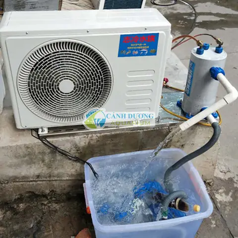 Máy Lạnh Bể Cá Là Gì? Hướng Dẫn Chọn Mua & Lắp Đặt Chi Tiết Máy Lạnh Bể Cá Là Gì? Hướng Dẫn Chọn Mua & Lắp Đặt Chi Tiết