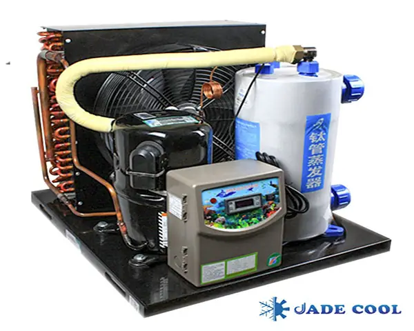 Máy Lạnh Bể Cá Là Gì? Hướng Dẫn Chọn Mua & Lắp Đặt Chi Tiết Máy Lạnh Bể Cá Là Gì? Hướng Dẫn Chọn Mua & Lắp Đặt Chi Tiết