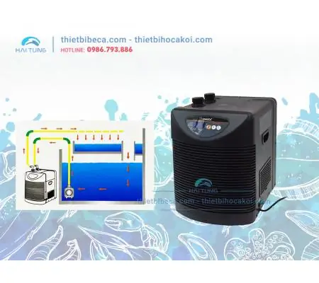 Máy Lạnh Bể Cá Là Gì? Hướng Dẫn Chọn Mua & Lắp Đặt Chi Tiết Máy Lạnh Bể Cá Là Gì? Hướng Dẫn Chọn Mua & Lắp Đặt Chi Tiết
