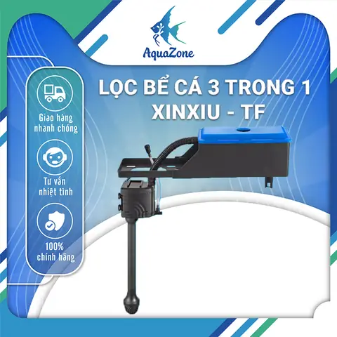 Máy Lọc Bể Cá 3 Trong 1: Chọn Loại Nào Tốt Nhất Cho Hồ Thủy Sinh & Cảnh Quan
