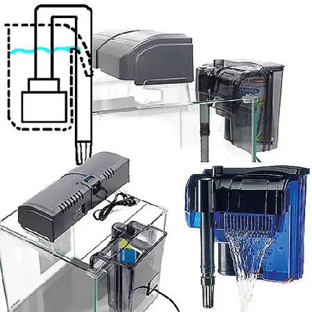 Máy Lọc Nước Bể Cá Thủy Sinh: Hướng Dẫn Chọn Mua & Các Loại Phổ Biến Máy Lọc Nước Bể Cá Thủy Sinh: Hướng Dẫn Chọn Mua & Các Loại Phổ Biến