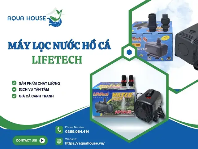 Máy Lọc Nước Hồ Cá Lifetech: Hướng Dẫn Chọn Mua & Lắp Đặt Chi Tiết Máy Lọc Nước Hồ Cá Lifetech: Hướng Dẫn Chọn Mua & Lắp Đặt Chi Tiết