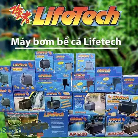 Máy Lọc Nước Hồ Cá Lifetech: Hướng Dẫn Chọn Mua & Lắp Đặt Chi Tiết Máy Lọc Nước Hồ Cá Lifetech: Hướng Dẫn Chọn Mua & Lắp Đặt Chi Tiết