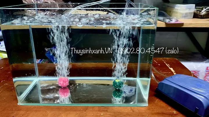 Máy Lọc Oxy Hồ Cá: Hướng Dẫn Chọn Mua Và Sử Dụng Hiệu Quả