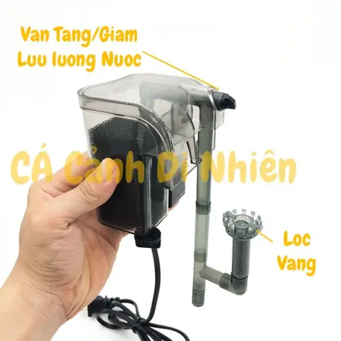 Máy Lọc Thác Hồ Cá: Hướng Dẫn Chọn Mua, Sử Dụng Và Tối Ưu Hiệu Quả