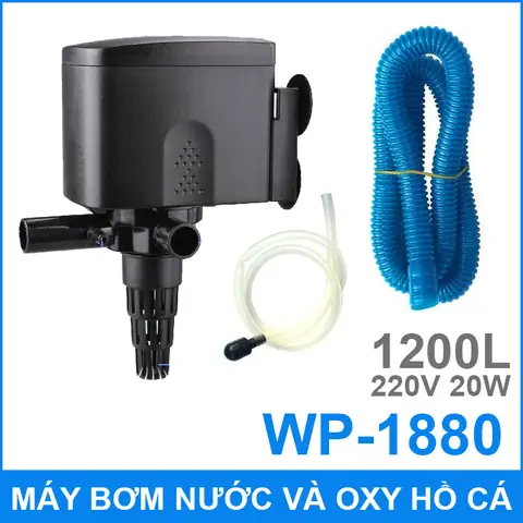 Máy Sủi Oxy Hồ Cá: Cung Cấp Oxy, Tác Dụng Và Lưu Ý Chọn Mua