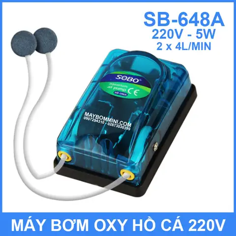 Máy Sủi Oxy Hồ Cá: Cung Cấp Oxy, Tác Dụng Và Lưu Ý Chọn Mua