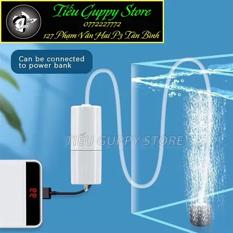 Máy Sủi Oxy Hồ Cá: Cung Cấp Oxy, Tác Dụng Và Lưu Ý Chọn Mua