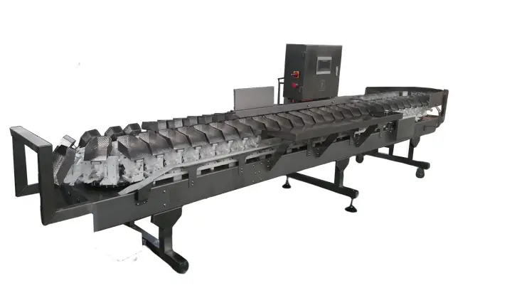Máy Phân Cỡ Cá: Giải Pháp Tối Ưu Năng Suất Và Chất Lượng Sản Phẩm Thủy Sản