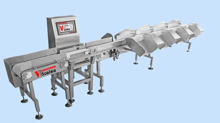 Máy Phân Cỡ Cá: Giải Pháp Tối Ưu Năng Suất Và Chất Lượng Sản Phẩm Thủy Sản
