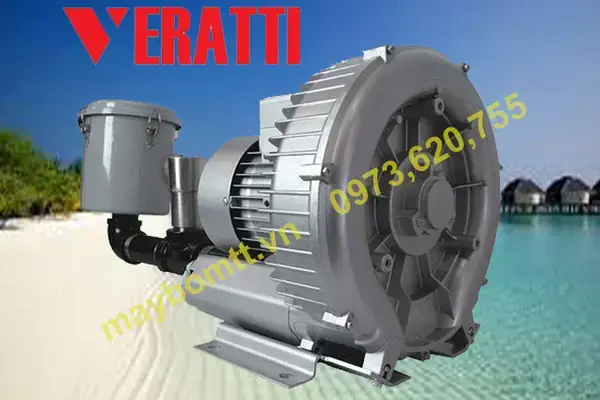 Máy Sục Khí Ao Nuôi Cá Công Suất Nhỏ: Hướng Dẫn Chọn Mua Và Sử Dụng Hiệu Quả
