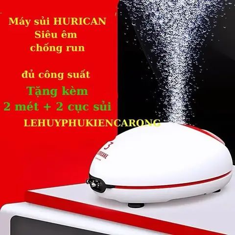 Máy Sủi Oxy Bể Cá Rồng: Chọn Loại Nào, Cách Sử Dụng Và Lợi Ích