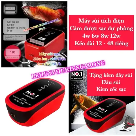 Máy Sủi Oxy Bể Cá Rồng: Chọn Loại Nào, Cách Sử Dụng Và Lợi Ích