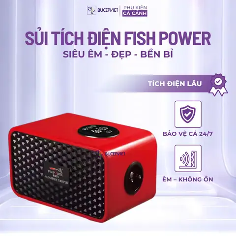 Máy Sủi Oxy Tích Điện Bể Cá: Chọn Loại Nào Tốt, Giá Bao Nhiêu?