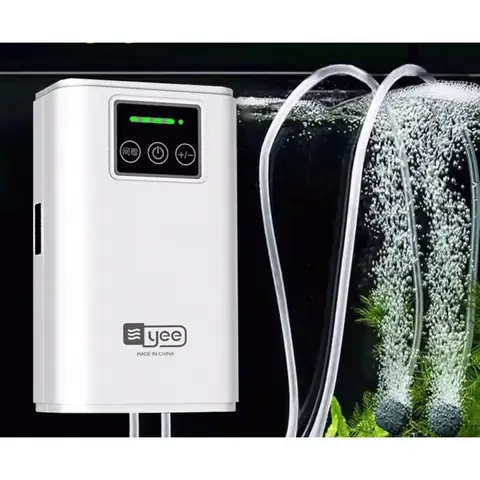 Máy Sủi Oxy Tích Điện Bể Cá: Chọn Loại Nào Tốt, Giá Bao Nhiêu?