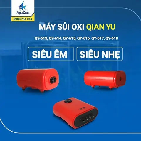 Máy Tạo Bọt Khí Bể Cá: Lựa Chọn, Lắp Đặt & Lợi Ích Cho Cá Máy Tạo Bọt Khí Bể Cá: Lựa Chọn, Lắp Đặt & Lợi Ích Cho Cá