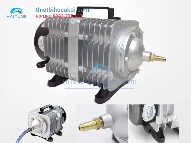 Máy Thổi Khí Hồ Cá: Hướng Dẫn Chọn Mua, Công Dụng & Lưu Ý Sử Dụng Máy Thổi Khí Hồ Cá: Hướng Dẫn Chọn Mua, Công Dụng & Lưu Ý Sử Dụng