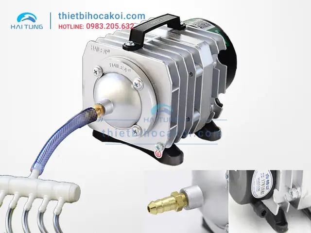 Máy Thổi Khí Hồ Cá: Hướng Dẫn Chọn Mua, Công Dụng & Lưu Ý Sử Dụng Máy Thổi Khí Hồ Cá: Hướng Dẫn Chọn Mua, Công Dụng & Lưu Ý Sử Dụng