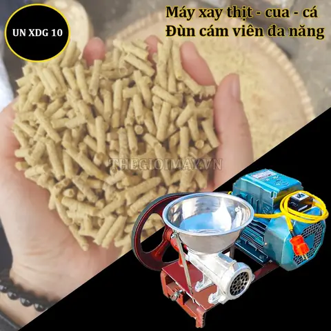 Máy Xay Cám Cá: Hướng Dẫn Chọn Mua & Sử Dụng Hiệu Quả