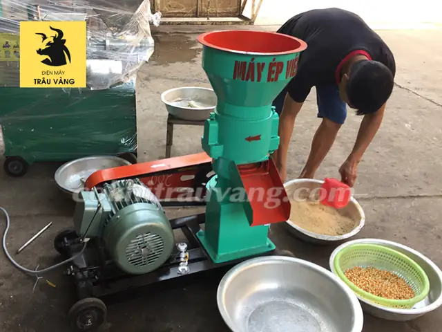 Máy Xay Thức Ăn Cho Cá: Hướng Dẫn Chọn Mua & Sử Dụng Hiệu Quả
