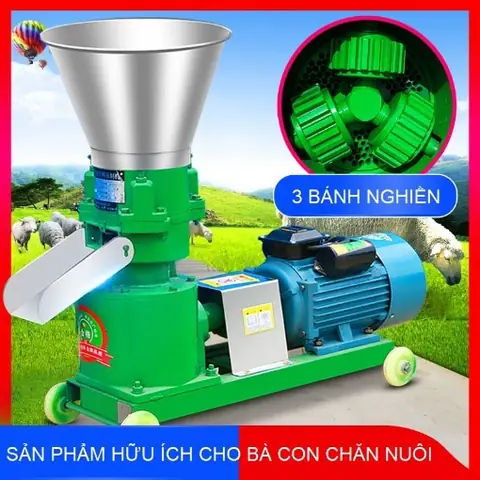 Máy Xay Thức Ăn Cho Cá: Hướng Dẫn Chọn Mua & Sử Dụng Hiệu Quả