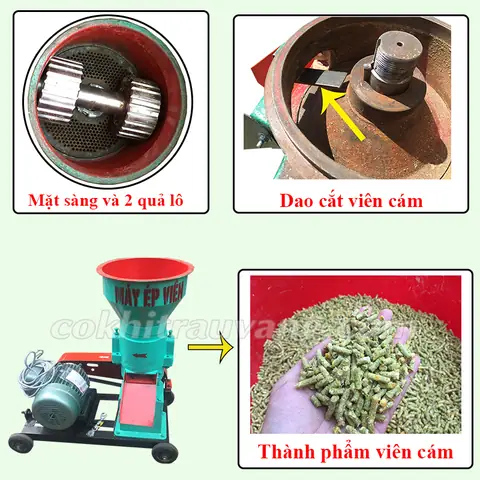 Máy Xay Thức Ăn Cho Cá: Hướng Dẫn Chọn Mua & Sử Dụng Hiệu Quả