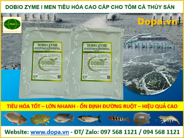 Men Tiêu Hóa Cho Tôm Cá: Lợi Ích, Cách Sử Dụng & Lựa Chọn Tốt Nhất