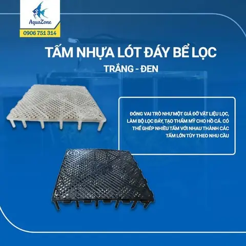 Miếng Lót Hồ Cá: Vai Trò, Phân Loại Và Lưu Ý Chọn Lựa