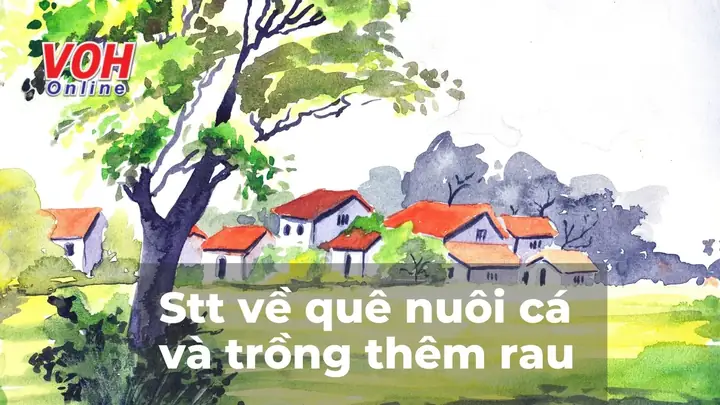 Về Quê Trồng Rau Nuôi Cá: Lời Giải Bài Toán Mệt Mỏi Chốn Thành Thị Về Quê Trồng Rau Nuôi Cá: Lời Giải Bài Toán Mệt Mỏi Chốn Thành Thị