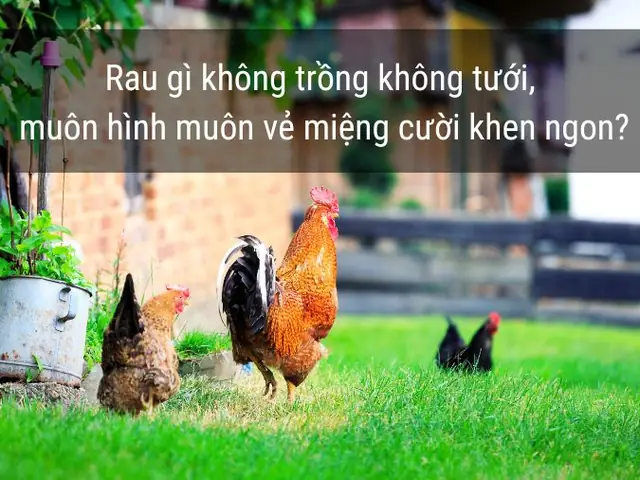 Về Quê Trồng Rau Nuôi Cá: Lời Giải Bài Toán Mệt Mỏi Chốn Thành Thị Về Quê Trồng Rau Nuôi Cá: Lời Giải Bài Toán Mệt Mỏi Chốn Thành Thị