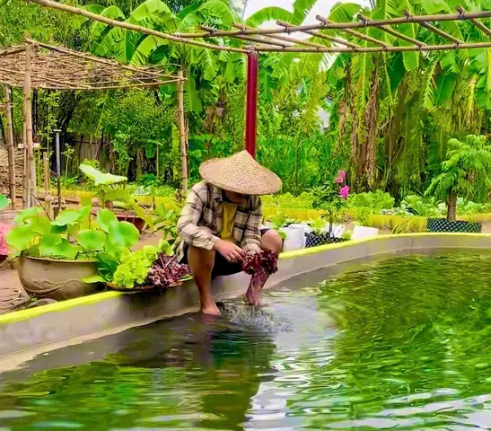 Về Quê Trồng Rau Nuôi Cá: Lời Giải Bài Toán Mệt Mỏi Chốn Thành Thị Về Quê Trồng Rau Nuôi Cá: Lời Giải Bài Toán Mệt Mỏi Chốn Thành Thị