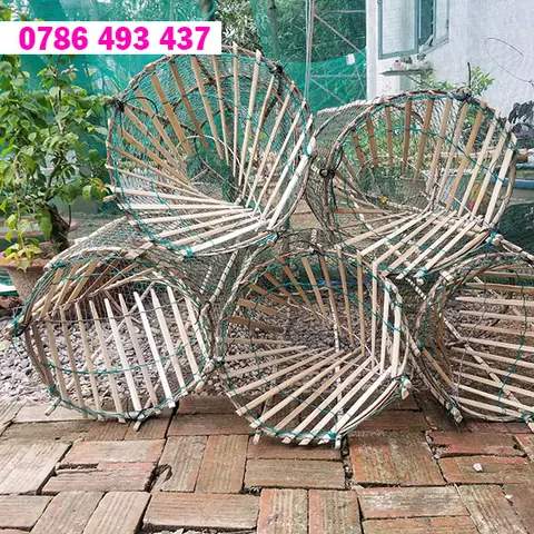 Hướng Dẫn Làm Mồi Bẫy Cá Lóc Hiệu Quả Và Các Loại Mồi Phổ Biến