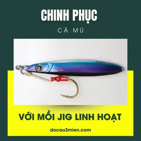 Mồi Câu Cá Mú: Loại Nào Hiệu Quả Nhất & Kinh Nghiệm Câu Lure Mồi Câu Cá Mú: Loại Nào Hiệu Quả Nhất & Kinh Nghiệm Câu Lure