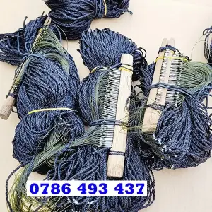 Mồi Câu Cá Chạch Lấu Hiệu Quả: Bí Quyết Thu Hút Loài Cá Khó Tính