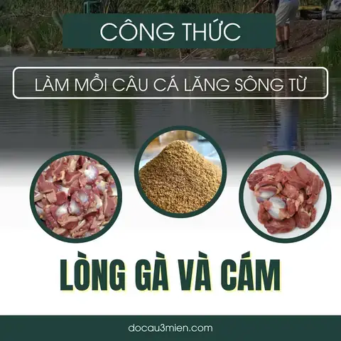 Mồi Câu Cá Lăng Suối: Bí Quyết Chọn Và Tự Làm Hiệu Quả Nhất
