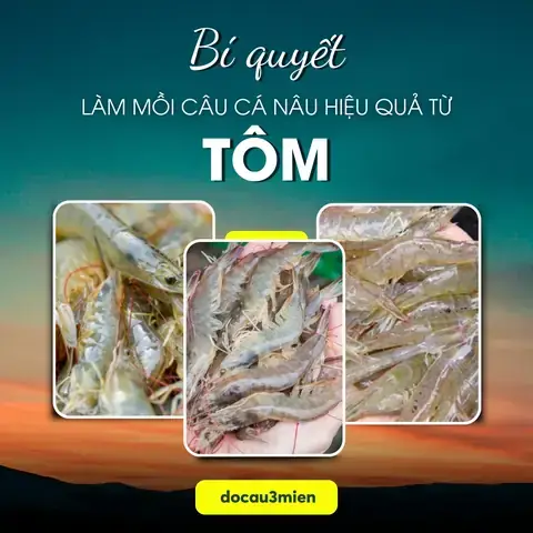 Mồi Câu Cá Nâu Hiệu Quả: Bí Quyết Lựa Chọn & Cách Làm Đơn Giản Cho Mọi Địa Điểm