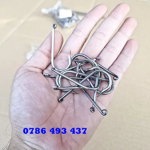 Mồi Câu Cá Thác Lác Cườm Sông: Bí Quyết "dính" Hiệu Quả Từ A-z