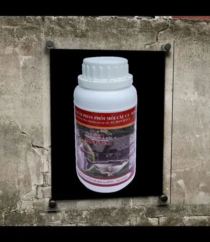 Hướng Dẫn Chi Tiết & Công Thức Làm Mồi Câu Cá Tra Bằng Thuốc Bắc Hiệu Quả