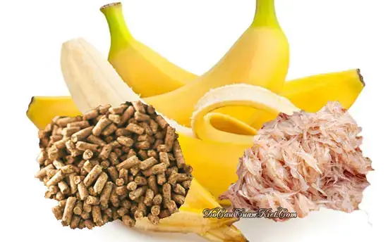 Hướng Dẫn Chi Tiết & Công Thức Làm Mồi Câu Cá Tra Bằng Thuốc Bắc Hiệu Quả