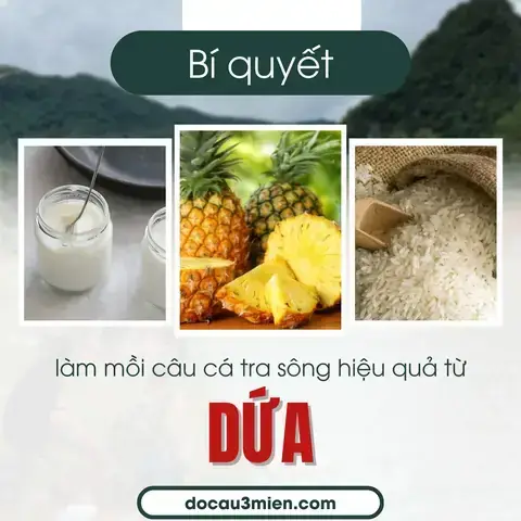 Mồi Câu Cá Tra Hiệu Quả Nhất: Công Thức & Kỹ Thuật "dụ" Cá Ngay Lập Tức