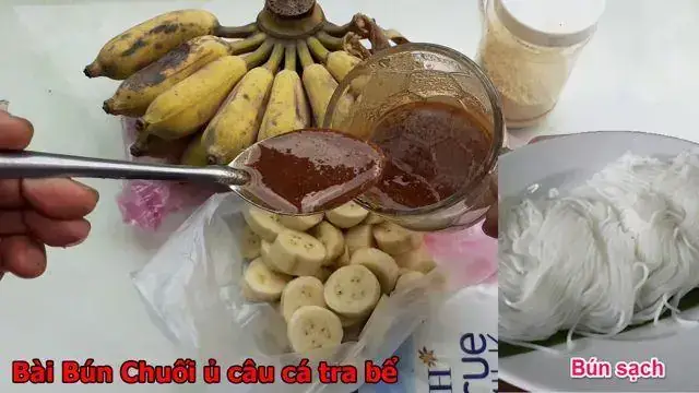 Hướng Dẫn Làm Mồi Câu Cá Tra Hugo Hiệu Quả Nhất