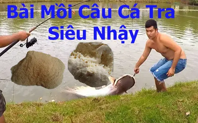 Mồi Câu Cá Tra Mùa Mưa: Công Thức & Cách Làm Hiệu Quả