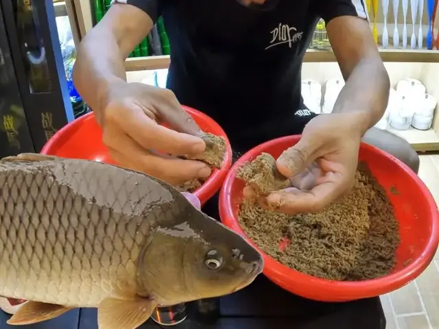 Công Thức Mồi Câu Cá Trôi Mùa Đông Hiệu Quả Nhất & Mẹo Câu Chuẩn