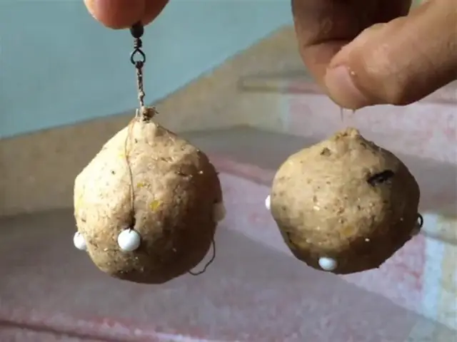 Hướng Dẫn Làm Mồi Câu Lăng Xê Cá Chép Sông Hiệu Quả Nhất